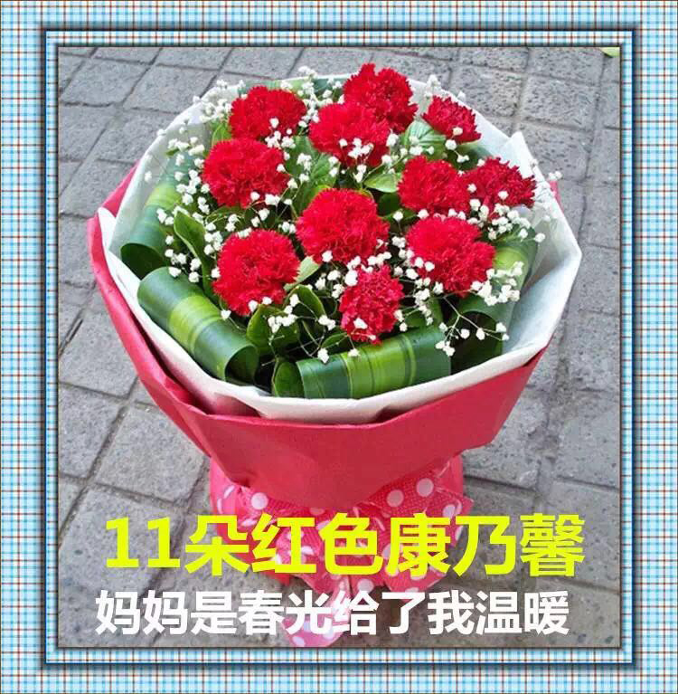 11朵康乃馨