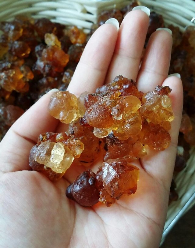 云南特级桃胶