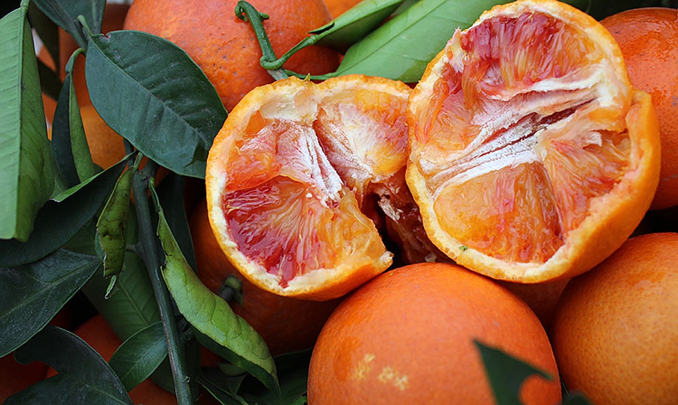 豪田三绝之一(玫瑰香橙)