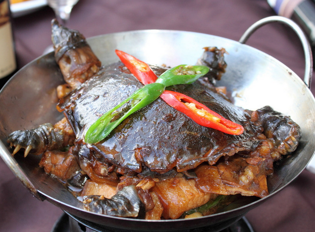 干锅甲鱼/1.5斤(3号菜)