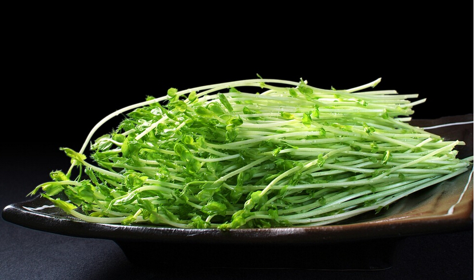 【爽舌尖芽苗菜】豌豆苗