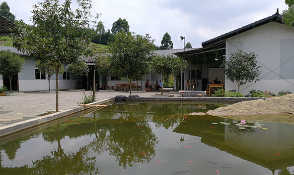 生机勃勃的人工鱼塘