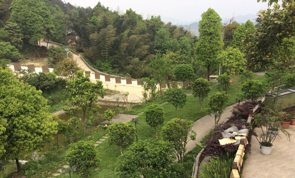 绿色的林峰山庄