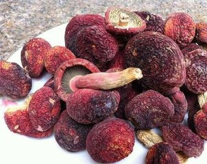 云南野生红茵1斤包装送货上门