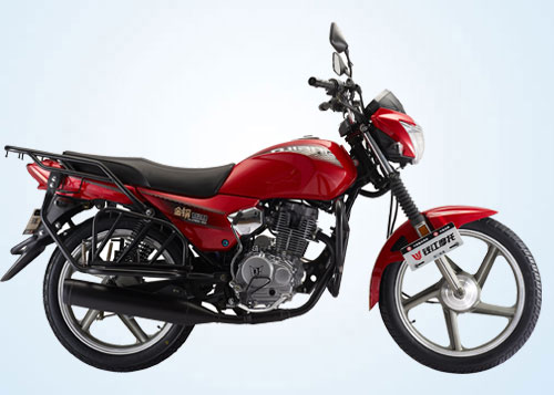 钱江摩托新金钢125-23
