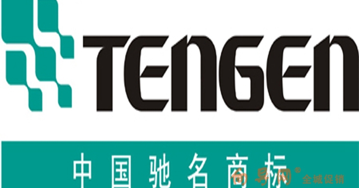 天正集团有限公司